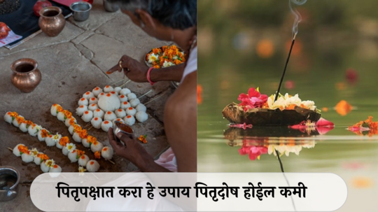 Pitru Paksha 2024: पितृपक्षात करा हे उपाय पितृदोष होईल कमी, श्राद्ध कसे करावे जाणून घ्या सविस्तर