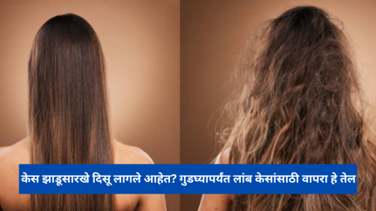 Castor Oil for hair : केस झाडूसारखे दिसू लागले आहेत? गुडघ्यापर्यंत लांब केसांसाठी वापरा हे तेल