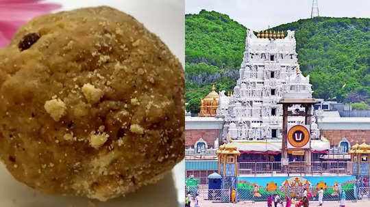 Tirupati Mandir Laddu: तिरुपती प्रसादात प्राण्यांची चरबी, आरएसएस भडकलं; १ लाख लाडू अयोध्येला पाठवल्याचाही दावा