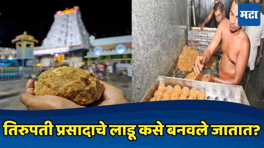 Tirupati Mandir Laddu: १० टन बेसन, ४०० लिटर तूप... ६०० कोटींची कमाई; तिरुपती प्रसादाच्या लाडवात काय-काय, कसा होतो तयार?