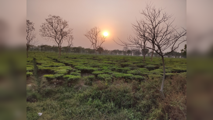 কীভাবে পৌঁছবেন: