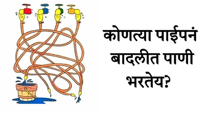 A B C की D सांगा पाहू कोणत्या पाईपनं बादलीत पाणी भरतेय? ९८ टक्के लोकांनी दिलेय चुकीचं उत्तर