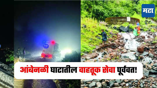 Raigad News : आंबेनळी घाटामध्ये दरड कोसळली, रातोरात रस्ता वाहतूकीसाठी पूर्ववत