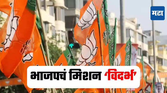 MH Election : भाजपचा विदर्भात ५० जागांवर डाव? आतापर्यंत ४८ मतदारसंघात विजय, असं आहे समीकरण