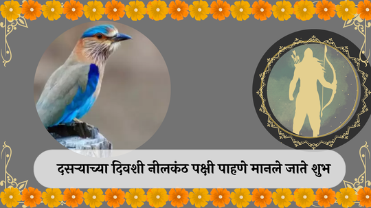 Dussehra Neelkanth Bird : दसऱ्याच्या दिवशी नीलकंठ पक्षी पाहणे मानले जाते शुभ, जाणून घ्या धार्मिक महत्त्व