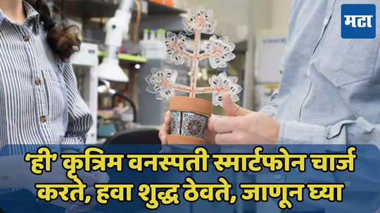 ‘ही’ वनस्पती ठरू शकते वरदान, हवा शुद्ध ठेवते, स्मार्टफोन चार्ज करते, जाणून घ्या