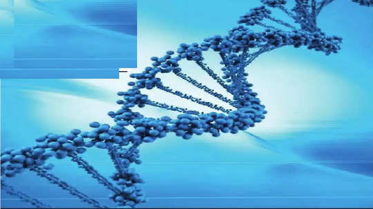 Inheritance Of Genes : जनुकांचा वारसा