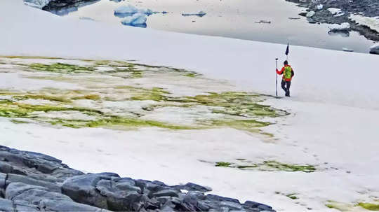 Antarctica Turns Green: ‘अंटार्क्टिका’ हिरवा होतोय