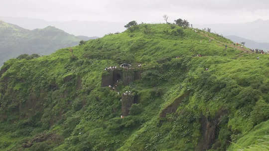 पुणे जिल्ह्यात सात हजार वर्षांपूर्वीही 'या' भागात होता मानवाचा वावर! अभ्यासात प्राचीन कोरीव आकृत्या मिळाल्या