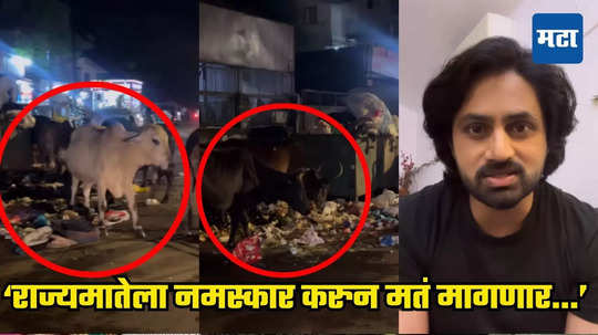 VIDEO: 'गोमाता कचऱ्याभोवती कसं पोट भरतेय पाहा...' शशांक केतकरने फटकारलं; मुंबईतील भयावह चित्र