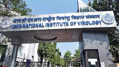 NIV Recruitment 2024: पुण्यातील 'नॅशनल इन्स्टिट्यूट ऑफ वायरॉलॉजी' संस्थेत विविध पदांसाठी भरती; 'असा' करा अर्ज