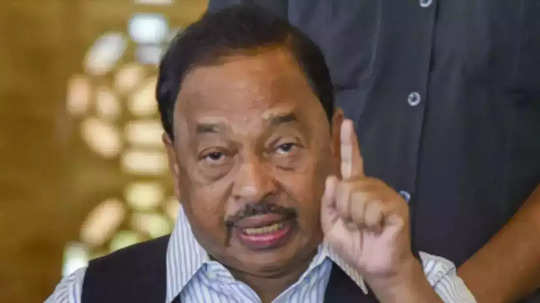 Narayan Rane: नुसतं जाडजुड पैलवान असून चालत नाही, वैभव नाईकांना राणेंचा टोला, सामंतासोबतच्या वादावरही स्पष्टीकरण