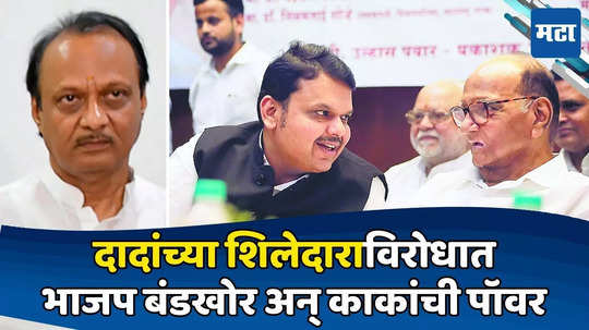 Maharashtra Election 2024: वाह क्या सीन है! भाजपचे बंडखोर, शरद पवार गट अपक्षाचा प्रचार करणार; दादांचा शिलेदार कोंडीत