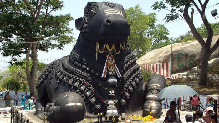 Hindu Mantra: অঢেল বল ও বুদ্ধির জন্য জপ করুন নন্দী গায়ত্রী মন্ত্র, শীঘ্র খুশি হবেন মহাদেব