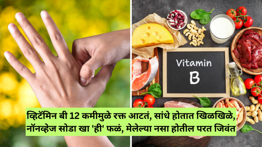 व्हिटॅमिन बी 12 कमीमुळे रक्त आटतं, सांधे होतात खिळखिळे, नॉनव्हेज सोडा खा 'ही' फळं, मेलेल्या नसा होतील परत जिवंत