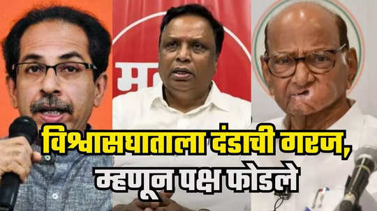 Ashish Shelar : शिवसेना-राष्ट्रवादीकडून विश्वासघात, शिक्षा देण्यासाठी पक्ष फोडणं गरजेचं होतं, आशीष शेलार यांचं स्पष्ट मत