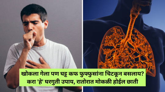 Mucus In Chest : खोकला गेला पण घट्ट कफ फुफ्फुसांना चिटकून बसलाय? करा 'हे' घरगुती उपाय, रातोरात मोकळी होईल छाती