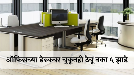 Vastu Tips : ऑफिसच्या डेस्कवर चुकूनही ठेवू नका ५ झाडे, प्रमोशन थांबलेच समजा, लगेच फेकून द्या