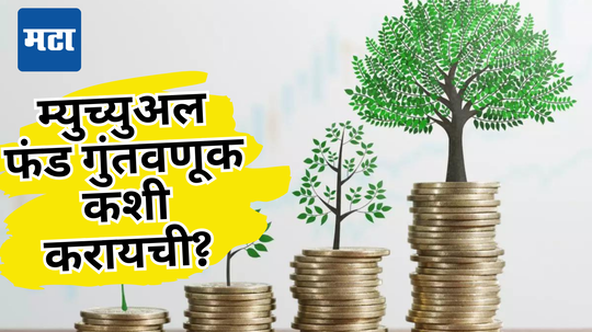 ​गाठी हवा पैसा मग, Mutual Fund सही है! पण आधी ‘या’ बेसिक गोष्टी लक्षात ठेवा, या टीप्स फॉलो करा फायद्यात राहाल