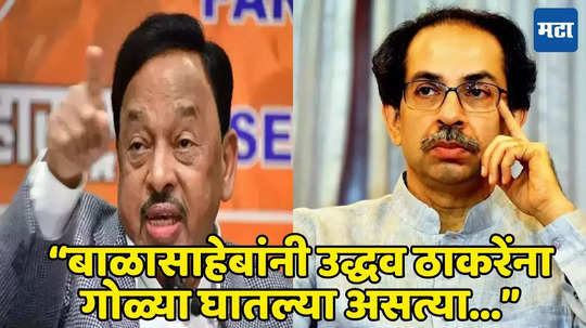 Narayan Rane: ठाकरे घराण्याला शोभत नाही, बाळासाहेब असते तर उद्धवना गोळ्या घातल्या असत्या, राणे भडकले