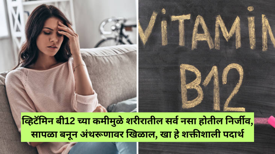 व्हिटॅमिन बी12 च्या कमीमुळे शरीरातील सर्व नसा होतील निर्जीव, सापळा बनून अंथरूणावर खिळाल, खा हे शक्तीशाली पदार्थ