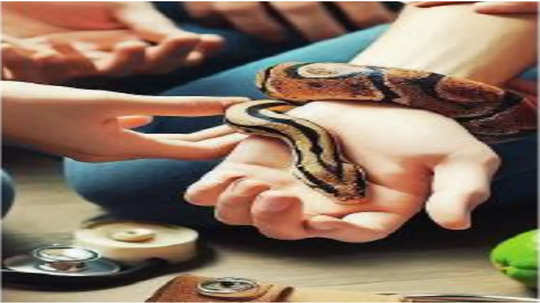 Snake Bite: भारतात दरवर्षी ६० हजार लोकांचा सर्पदंश मृत्यू, सर्वात विषारी साप कोणते?