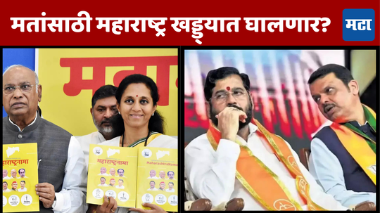 Maharashtra Polls: ‘फुकट’चे कल्याण! महायुती-आघाडीचे महागडे राजकारण, ‘रेवडी’ आश्वासनांची मोजावी लागेल छुपी किंमत