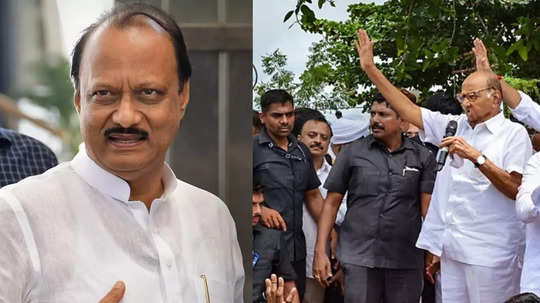 Ajit Pawar: शरद पवारांनी स्वत:च EDकडे जायचं! आयडिया कोणाची? निवडणुकीच्या रणधुमाळीत दादांचा गौप्यस्फोट