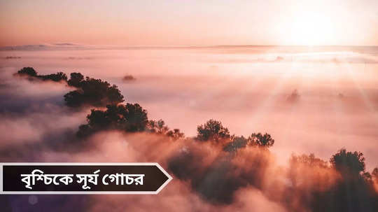 Sun Transit: সূর্য গোচরে এক মাস লাভের চূড়ায় ৫ রাশি, হবে পদোন্নতি