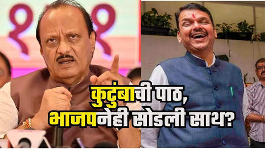 Ajit Pawar : समर्थकांसाठी दादा नंतर आम्हालाच पाडतील; बारामतीत भाजप कार्यकर्त्यांची प्रचाराकडे पाठ, अजित पवारांना डोकेदुखी