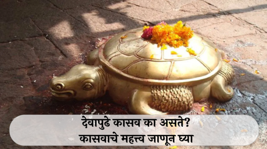 Importance of Tortoise: देवापुढे कासव का असते? कासवाचे महत्त्व जाणून घ्या