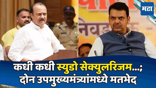 Devendra Fadnavis: अजित पवारांना ते कळत नाहीए! फडणवीस स्पष्टच बोलले; मतदानाच्या तोंडावर भाऊ विरुद्ध दादा