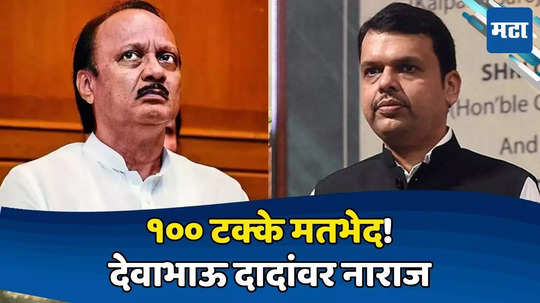 Devendra Fadnavis: 'त्या' मुद्द्यावर अजित पवारांसोबत १०० टक्के मतभेद! मतदानाच्या तोंडावर फडणवीस स्पष्टच बोलले