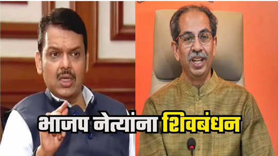 Uddhav Thackeray : भाजपमधील मायलेकाची जोडगोळी ठाकरे गटात, एक लाख मतं घेणारा वंचित नेताही शिवबंधनात