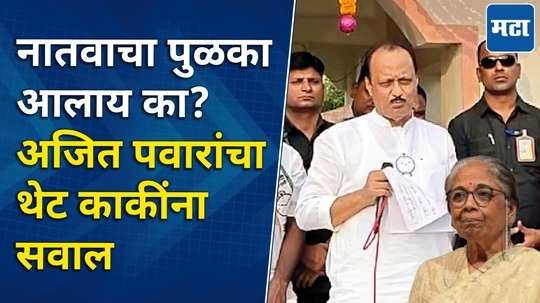 मी खतांडा-पिताडा आहे का? निवडणूक झाल्यावर प्रतिभा काकींना विचारणार; अजित पवारांचा निशाणा