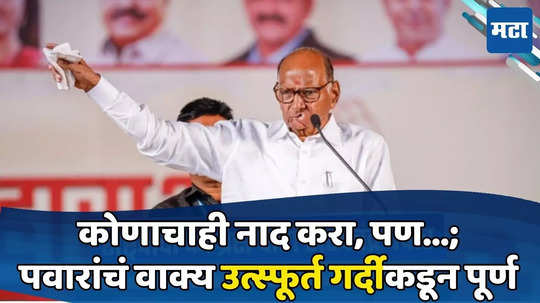 Sharad Pawar: त्यांना साधंसुधं पाडायचं नाही, जोरात पाडायचं! शरद पवारांनी सांगितला १९८०मधला खास किस्सा