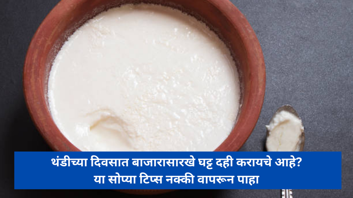 How To Make Curd : थंडीच्या दिवसात बाजारासारखे घट्ट दही करायचे आहे? या सोप्या टिप्स नक्की वापरून पाहा