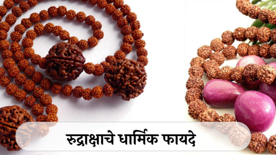 Importance Of Rudraksha : रुद्राक्ष गळ्यात का धारण करावा? कसे सुधारते शारीरिक आणि मानसिक आरोग्य? जाणून घ्या धार्मिक महत्त्व