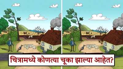 निसर्गरम्य चित्रामध्ये झाल्या आहेत १३ चूका, हुशार असाल तर ३० सेकंदात शोधून दाखवा