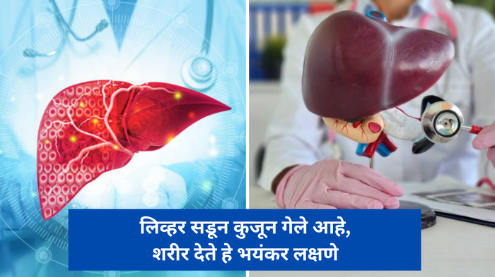 Liver damage : लिव्हर सडून कुजून गेले आहे, शरीर देते हे भयंकर लक्षणे आजच सावध व्हा