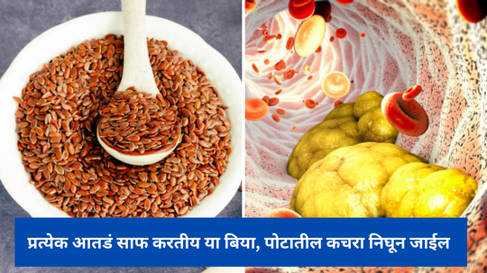 Flax Seeds Benefits : प्रत्येक आतडं साफ करतीय या बिया, पोटातील कचरा निघून जाईल, सुगरही राहिल नियंत्रणात