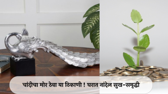 Vastu Tips : चांदीचा मोर ठेवा या ठिकाणी ! घरात नांदेल सुख-समृद्धी, व्यवसायात उत्तम प्रगती !