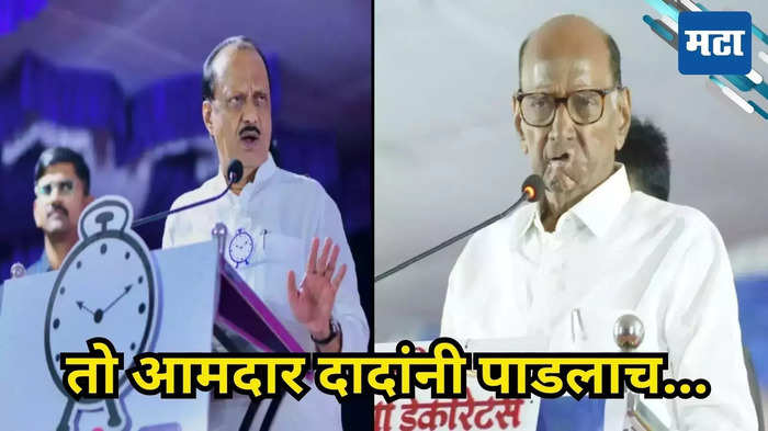 pawar vs pawar