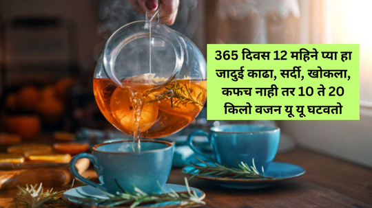 Winter Detox Tea: 365 दिवस 12 महिने प्या हा जादुई काढा, सर्दी, खोकला, कफच नाही तर 10 ते 20 किलो वजन यू यू घटवतो