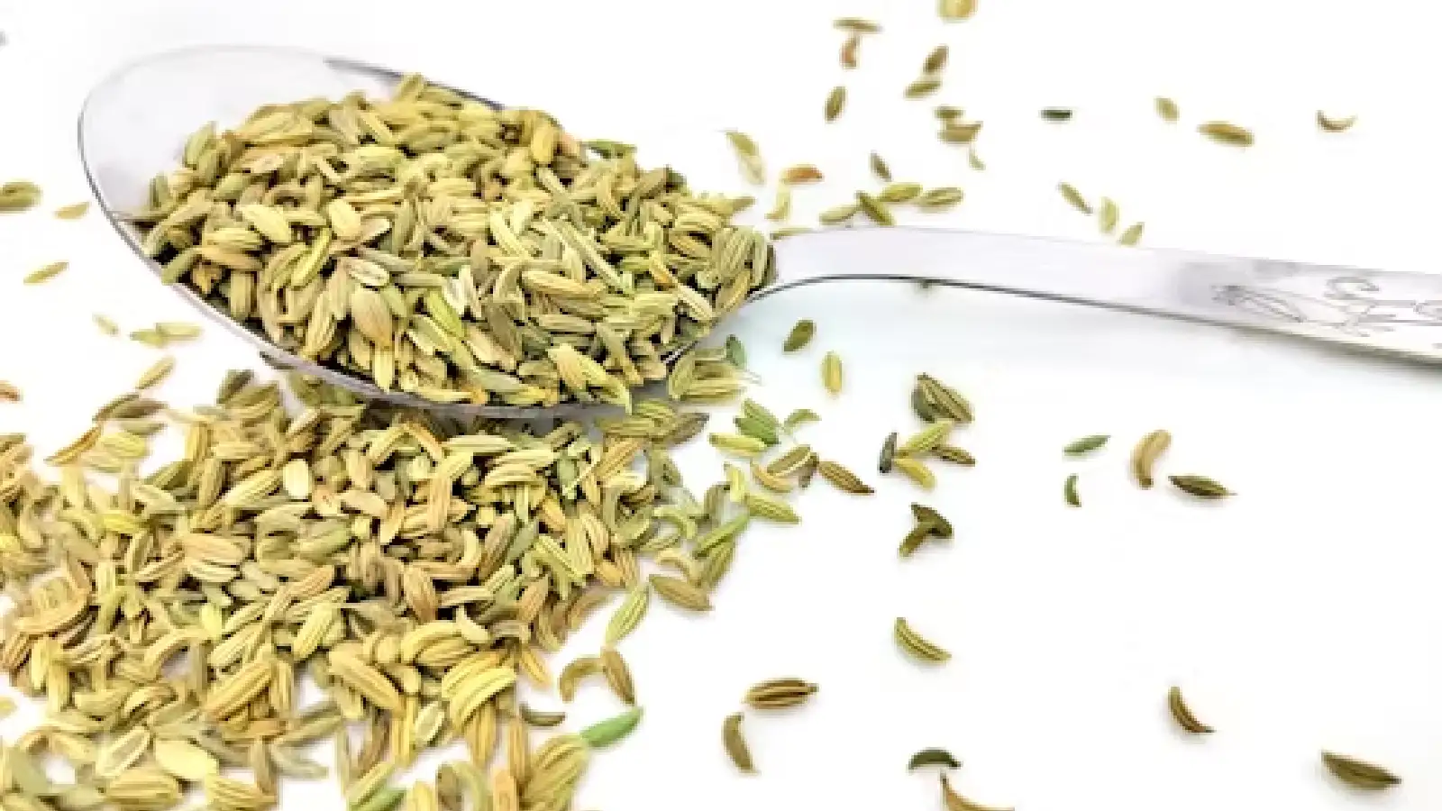 Yapon qizlar kichik yalangoch pussies porno rasmlar