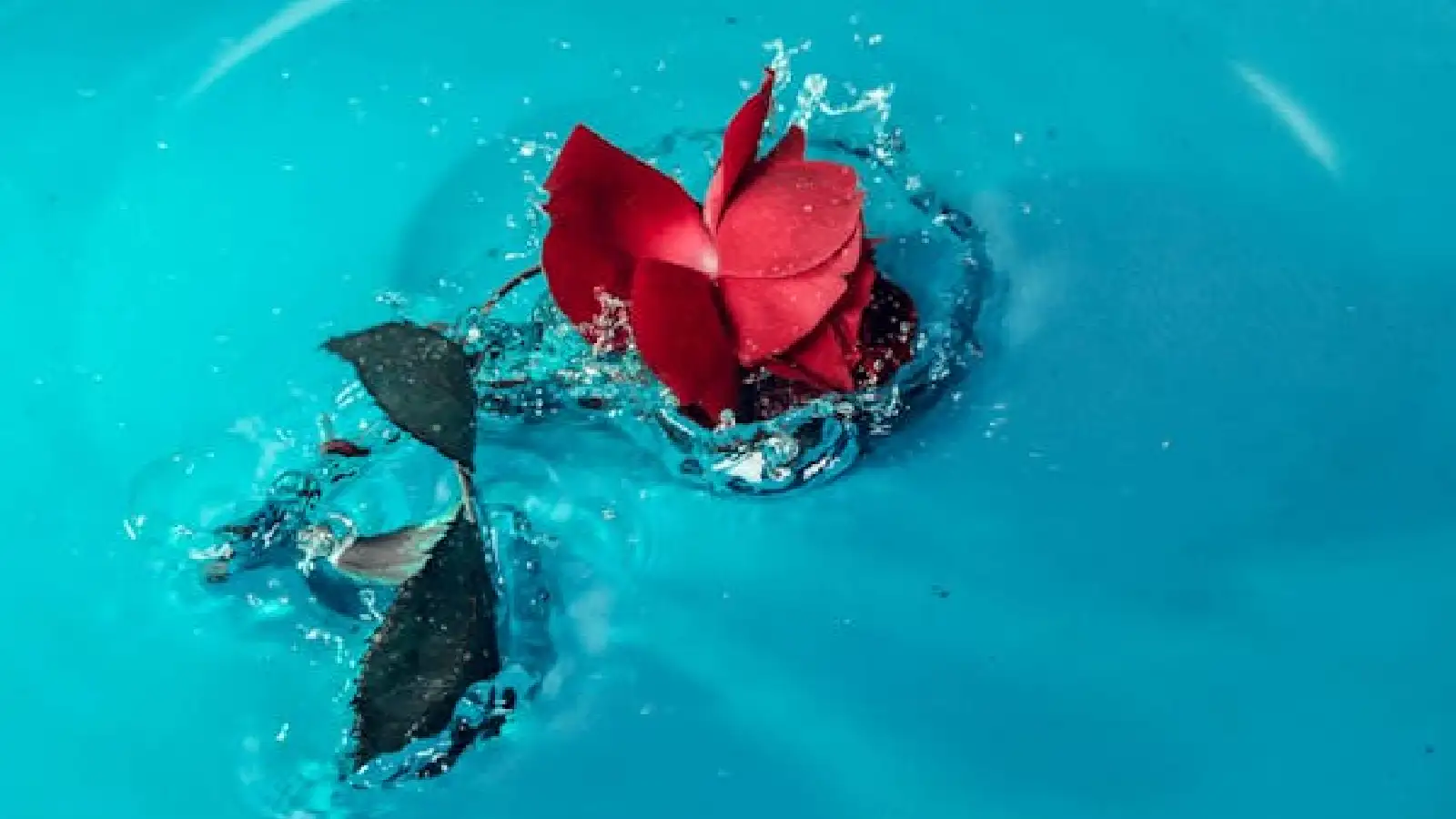 Tajribali va yosh lesbian porno