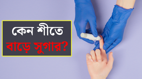 কেন শীতে তরতরিয়ে বাড়ে সুগার? চিকিৎসকের পরামর্শ না মানলে বিগড়াবে শরীরের হাল