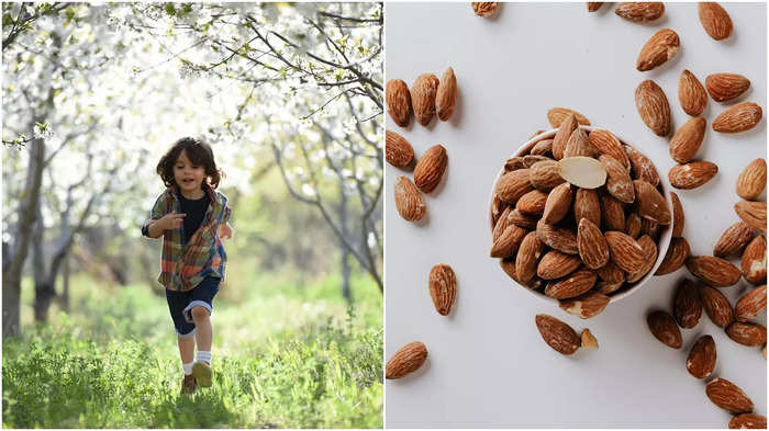 Almond Benefits for Kids