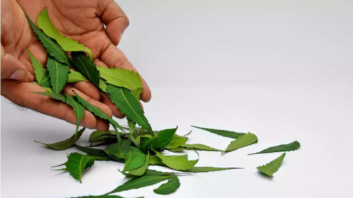 Neem Leaves