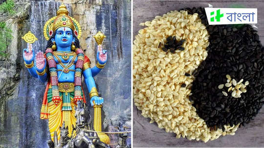 ​Shattila Ekadashi 2025 Date: কবে পালিত হবে ষটতিলা একাদশী, এই তিথিতে কী ভাবে ব্যবহার করবেন তিল? জানুন সব